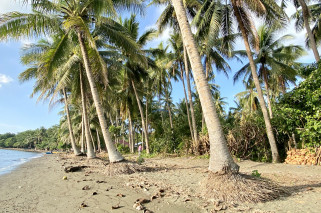 Amazing Beachlot For Sale in Magsaysay, Misamis Oriental