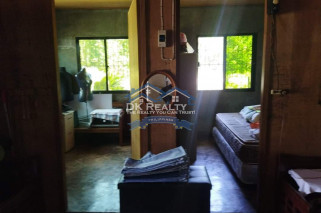 FULLY FURNISHED House and lot FOR SALE plus 1 hectare FARMLOT