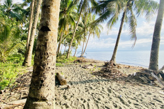 Amazing Beachlot For Sale in Magsaysay, Misamis Oriental