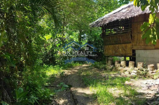 FULLY FURNISHED House and lot FOR SALE plus 1 hectare FARMLOT